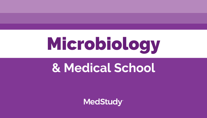 How To Study Microbiology In Med School how-to-study-microbiology-in-med-school